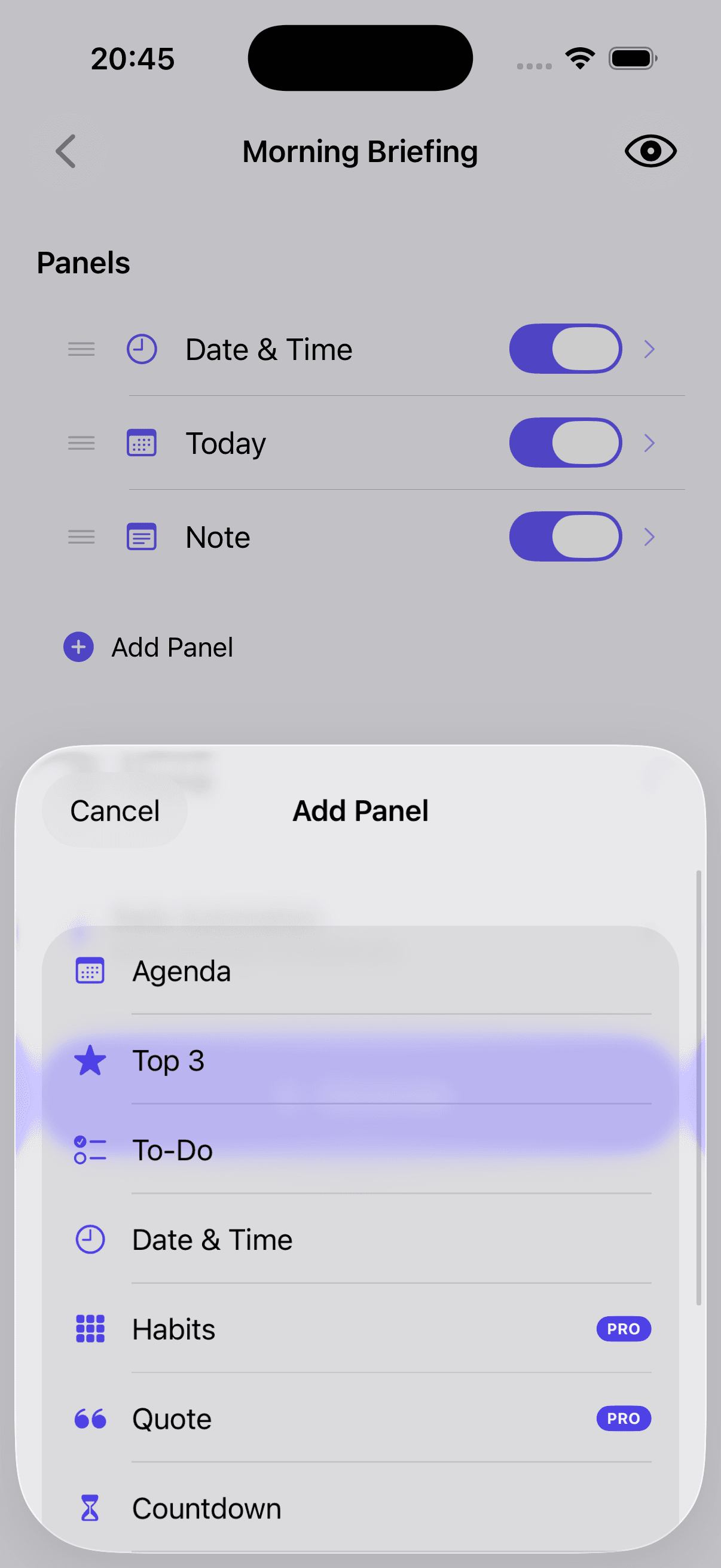 Add panel options